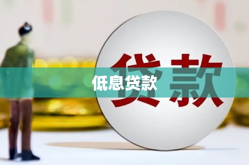 精河低息贷款