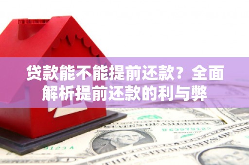 定陶贷款能不能提前还款？全面解析提前还款的利与弊