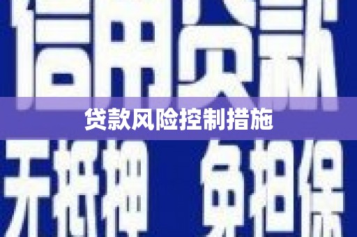 回民贷款风险控制措施