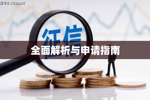 岱岳全面解析与申请指南