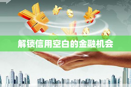 新县解锁信用空白的金融机会
