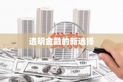 东至透明金融的新选择