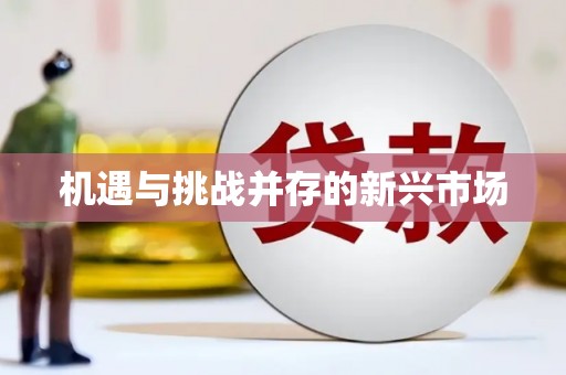 云岩机遇与挑战并存的新兴市场