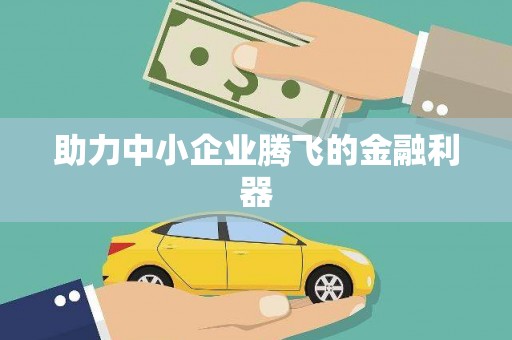 迪庆助力中小企业腾飞的金融利器