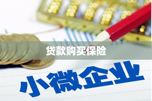 衡山贷款购买保险