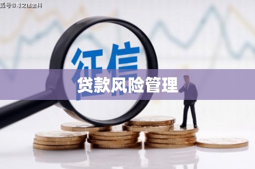 合阳贷款风险管理