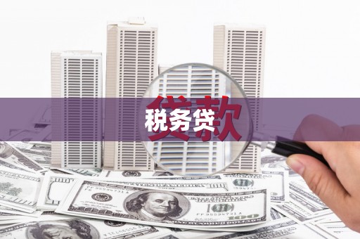 凉城税务贷